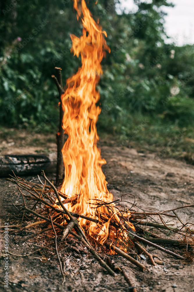 A large bonfire in the forest, close-up A large bonfire in the forest, close-up