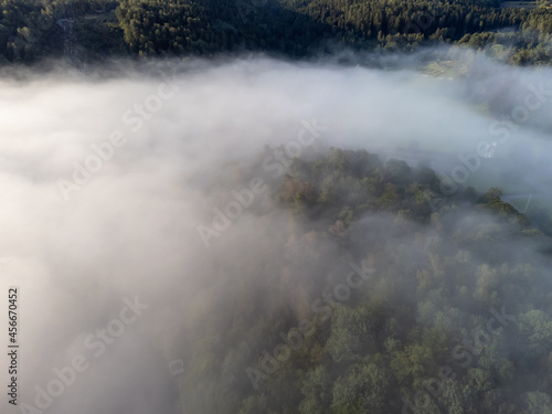 Misty morning in August. Deciduous trees seen from above, aerial, bird's eye view. Nature photography of forest and fog taken with a drone in Sweden.