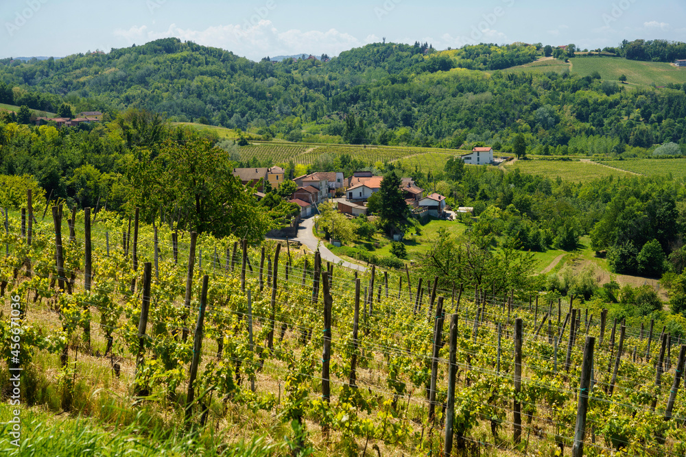 Rural landscape in Monferrato near Rivalta Bormida at May