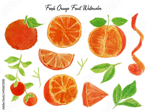 set of orange fruits
