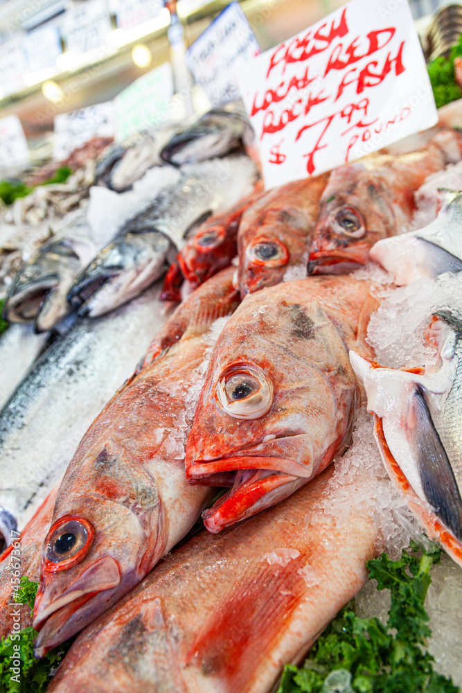 Fresh Red Rock Fish and Salmon for Sale in Fishmongers