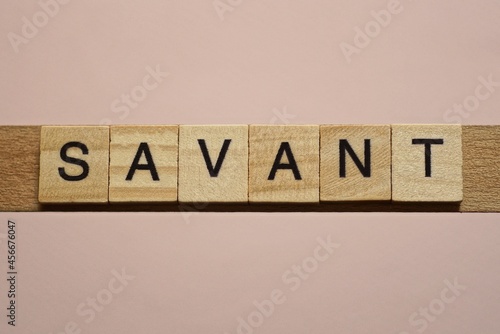 text the word savant from gray wooden small letters with black font on an pink table photo