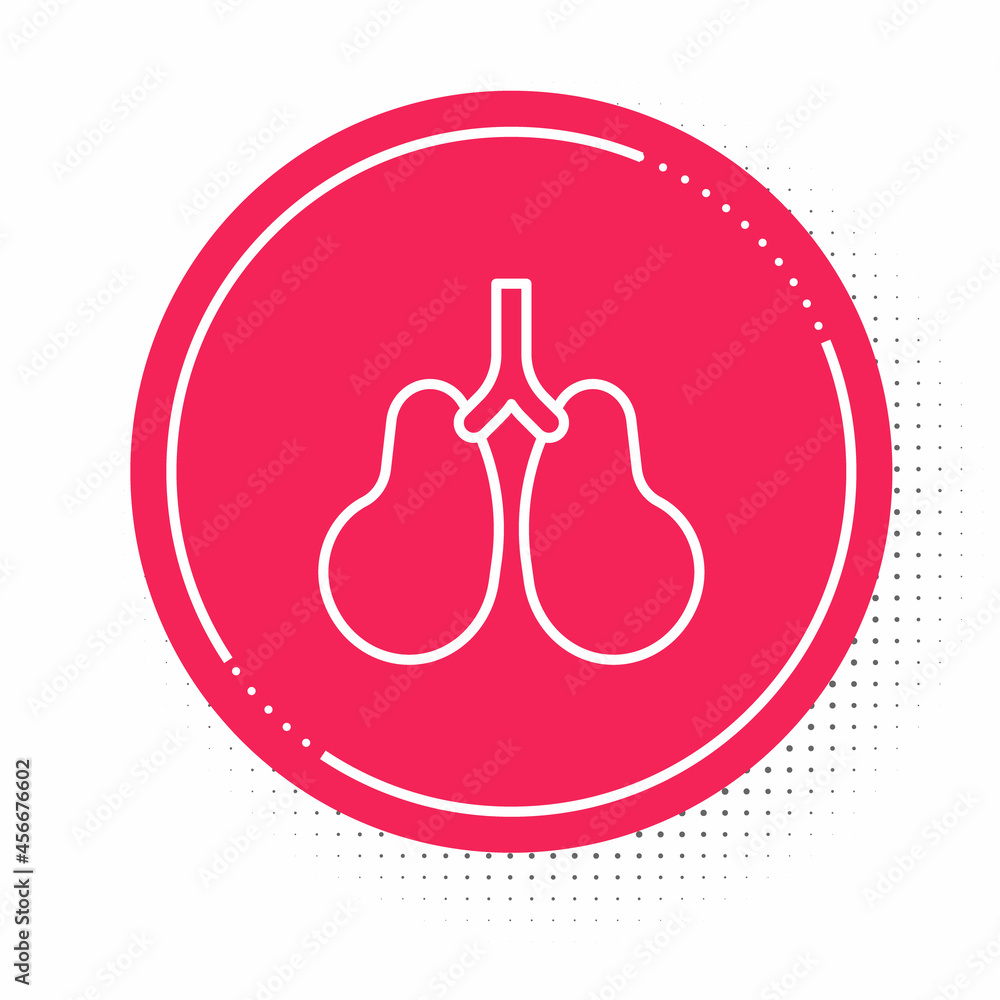 White line Lungs icon isolated on white background. Red circle button. Vector White line Lungs icon isolated on white background. Red circle button. Vector