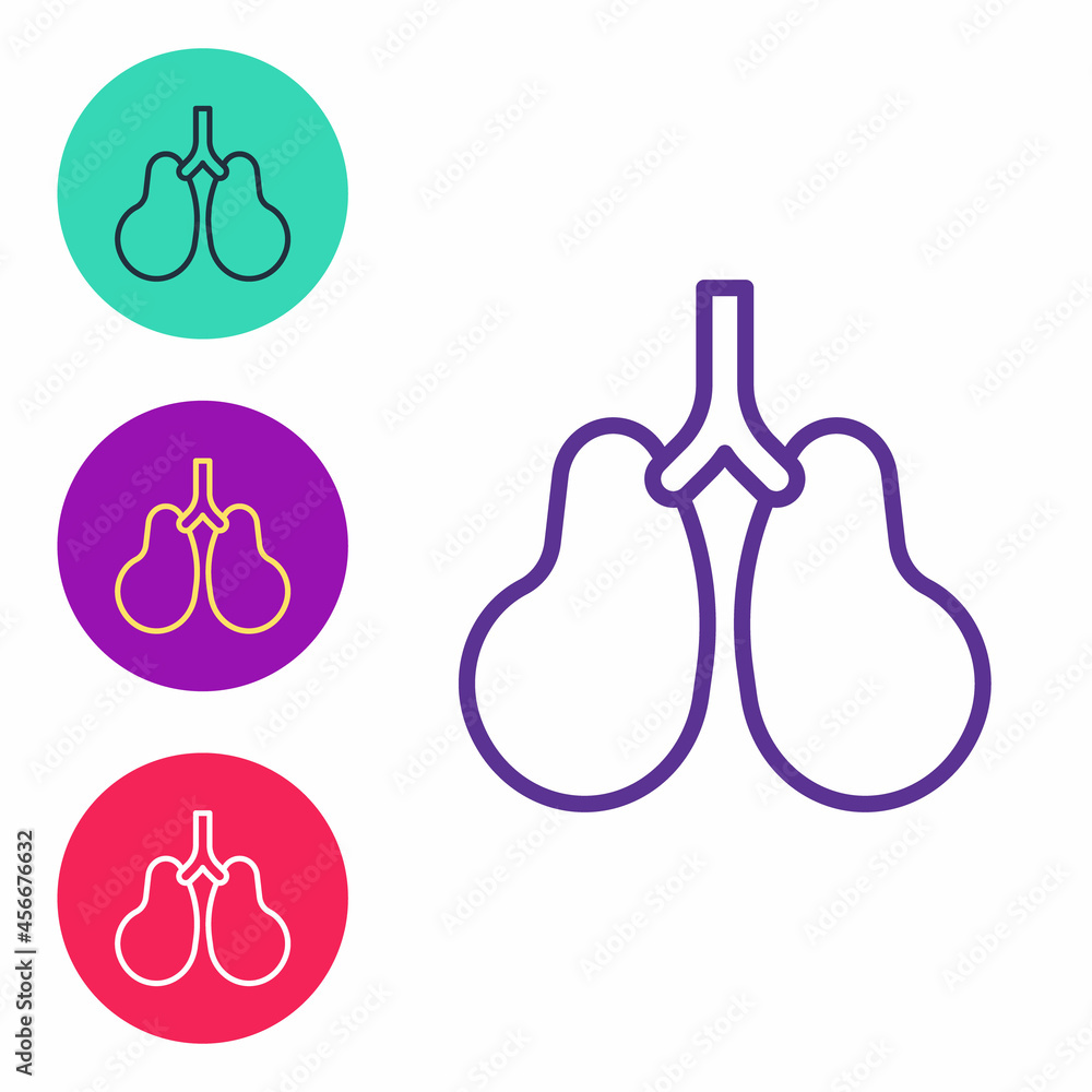 Set line Lungs icon isolated on white background. Set icons colorful. Vector Set line Lungs icon isolated on white background. Set icons colorful. Vector