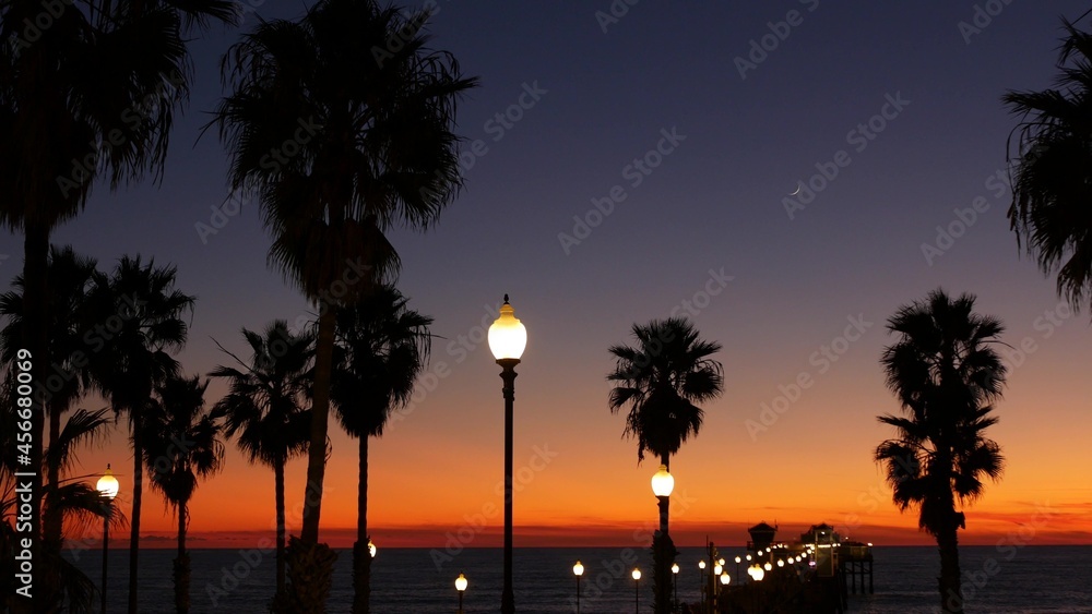 California Vibes, aesthetic, america, beach, la, night, palms