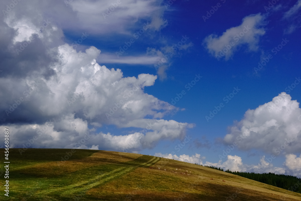 wonderful hilly mountain landscape with cows on clouds on the blue sky