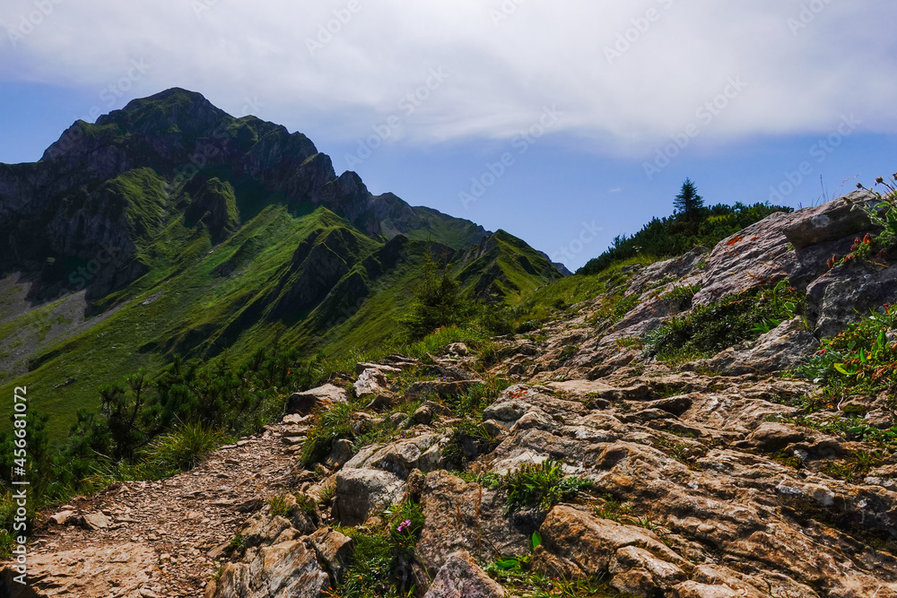 Fototapeta premium wonderful hiking path with rocks and stones to a green rocky mountain