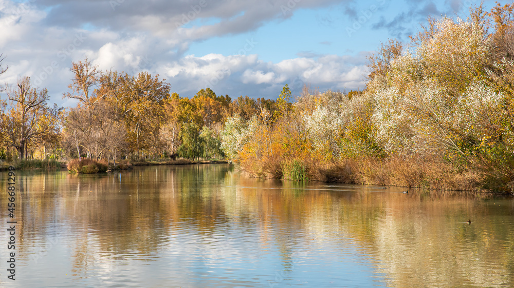 Autumn landscape with reservoir and trees reflected in the water Autumn landscape with reservoir and trees reflected in the water