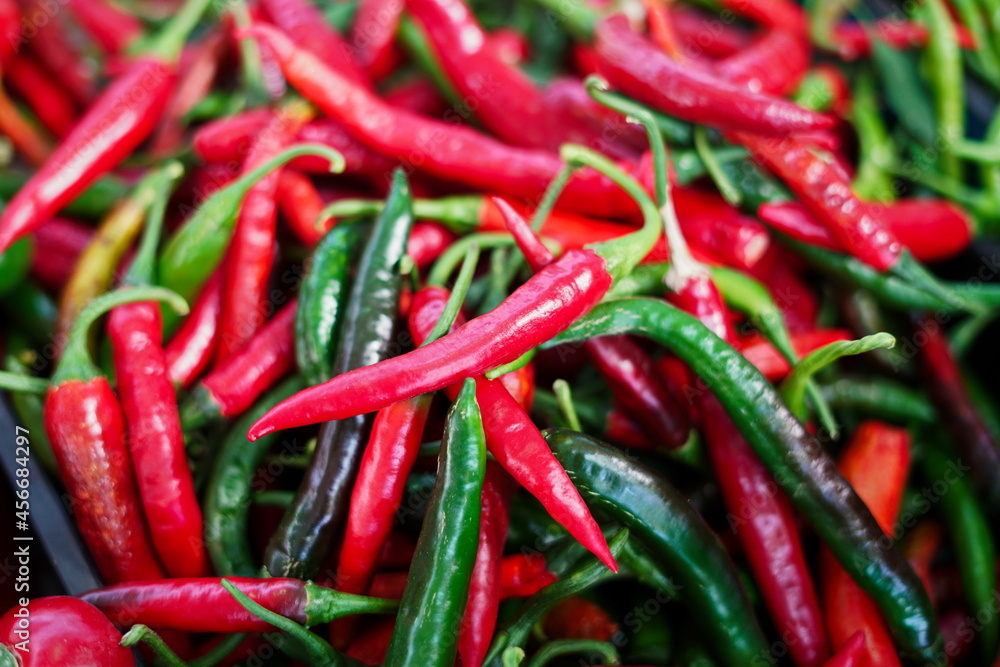 A pile of spicy green chilies freshly harvested from the garden. Selective focus