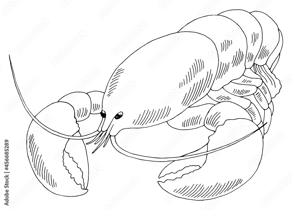 Lobster graphic black white isolated sketch illustration vector Stock