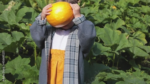 A child plays with a small yellow pumpkin on the farm. In the fall, take your children for a walk in nature. Horizontal video.
