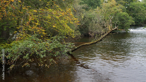 small river in the forest, River Ness, Ness islands, Iverness, Scotland