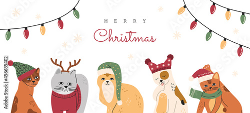 Set of Christmas cats portraits, collection of funny cute pets in hats and sweaters. Kitten with deer horns. Hand drawn vector illustration, template for New Year banner or card on white background