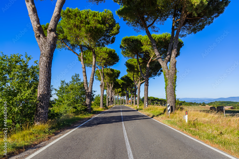 Road in the Tuscany Italy