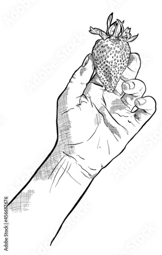 Hand Drawn Illustration of Hand, Vegan holding ripe Strawberry, Great Illustration for Restaurant Menu Concept.