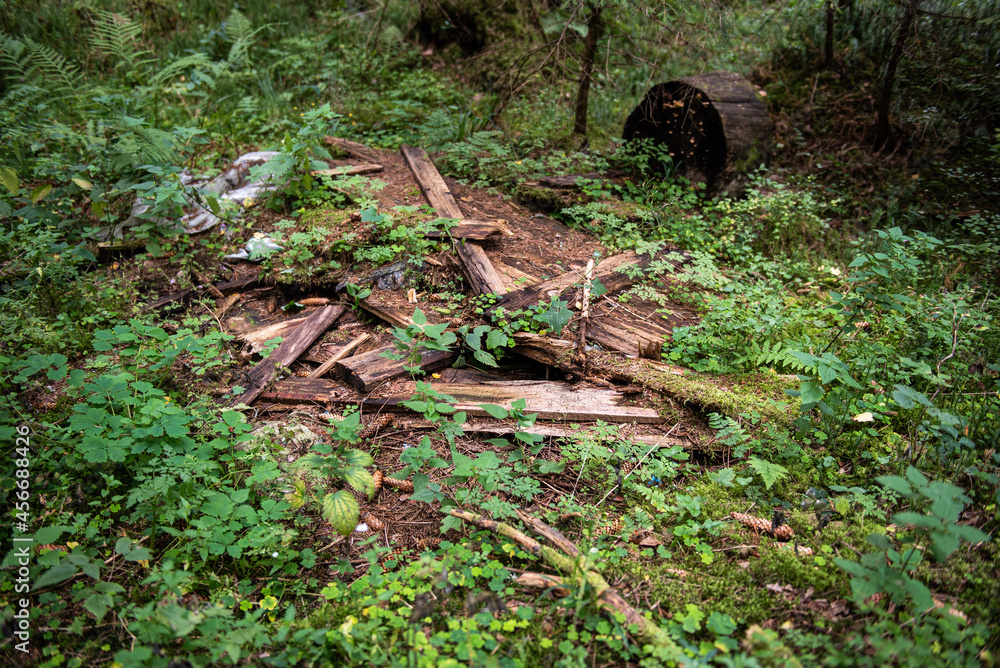 Random garbage junk items left in nature and forests. Old wooden boards. Random garbage junk items left in nature and forests. Old wooden boards.