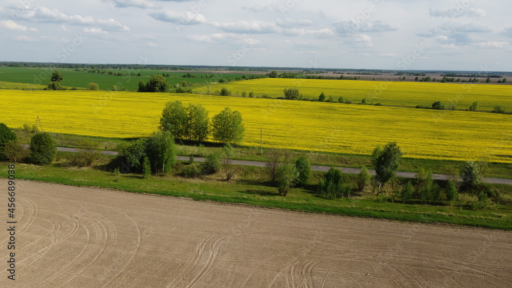 Fototapeta premium A plowed agricultural field, crops of rapeseed in the distance. Aerial view of farmland, landscape.