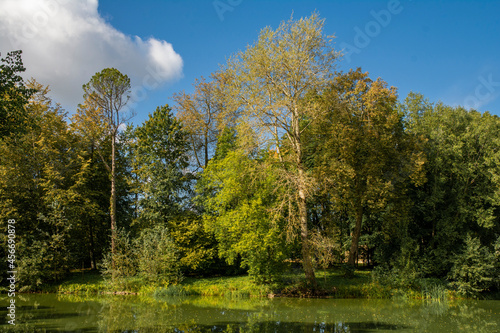 autumn in the park