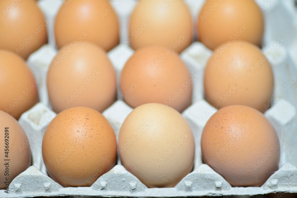 Homemade free-range eggs prepared to take to the supermarket Homemade free-range eggs prepared to take to the supermarket