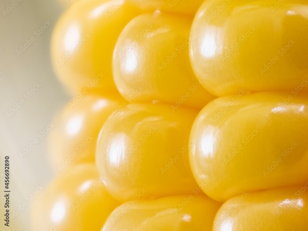 Corn cob close-up.
Fresh corn with golden-colored grains in a green peel. Corn cob close-up.
Fresh corn with golden-colored grains in a green peel.
