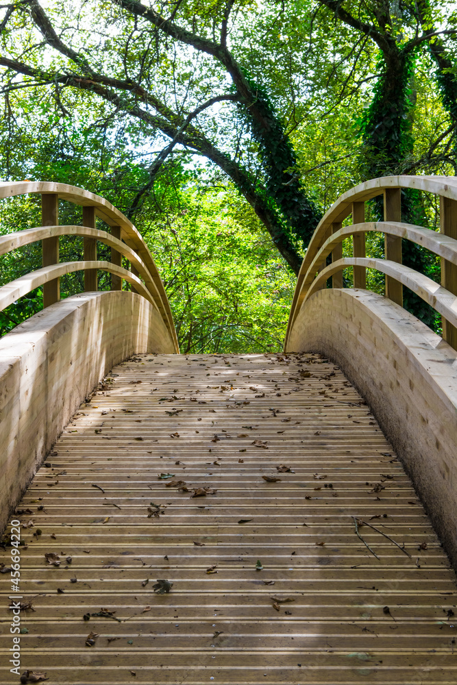 Petit pont de bois