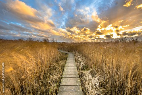 Wooden walkway through tidal marsh