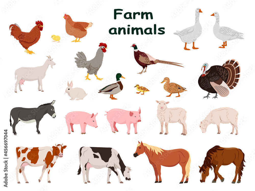 Big set of farm animals and domestic birds. Country pet. Isolated character on a white background. Vector illustration in a flat style. Big set of farm animals and domestic birds. Country pet. Isolated character on a white background. Vector illustration in a flat style.