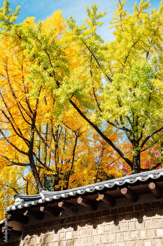 Fotografie Deoksugung stonewall walkway with autumn leaves in Seoul, Korea