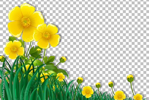 Yellow flower field frame template on transparent background
