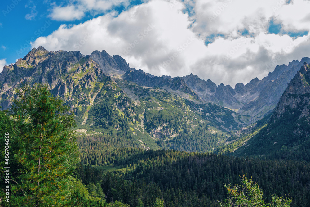 Beautiful summer landscape of High Tatras, Slovakia - lush forest, mountains and white clouds on the sky