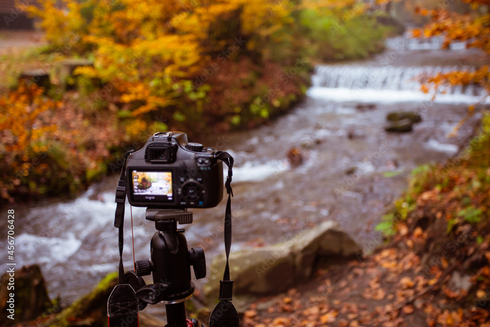 The camera without person is aimed at the forest waterfall The camera without person is aimed at the forest waterfall