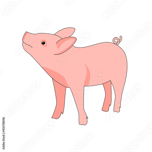 Vector realistic cartoon domestic livestock pink black contour little swine cute farming mammal fat rural pig farm animal piglet on white 