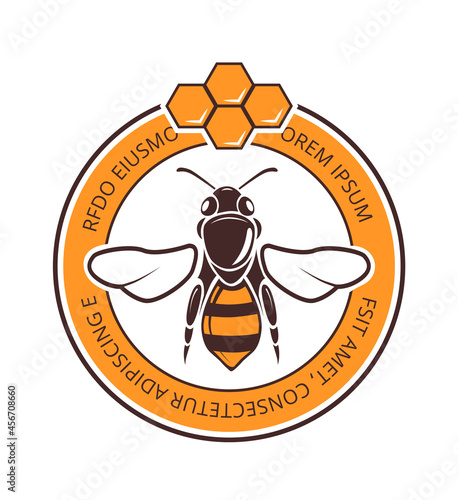 Vintage bee logo design. Honeycombs and wasp, retro new honey harvest sticker. Rural agriculture market vector badge