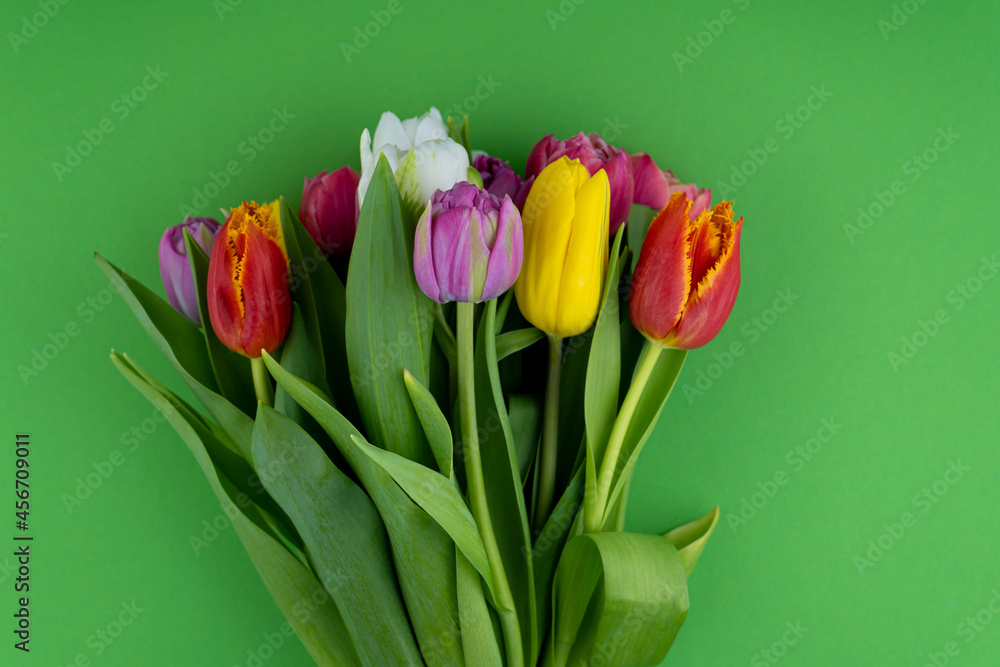 Mix of spring tulips flowers. Gift. Red, pink, white and yellow. Green background with flowers tulips close-up different colors. Multi-colored spring flower concept