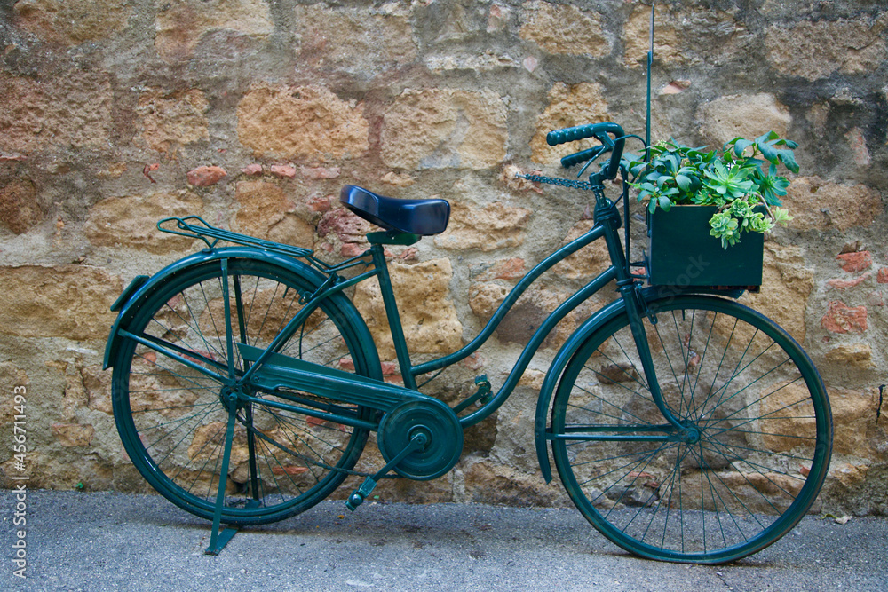 Decorative retro vintage model of Bike with plants