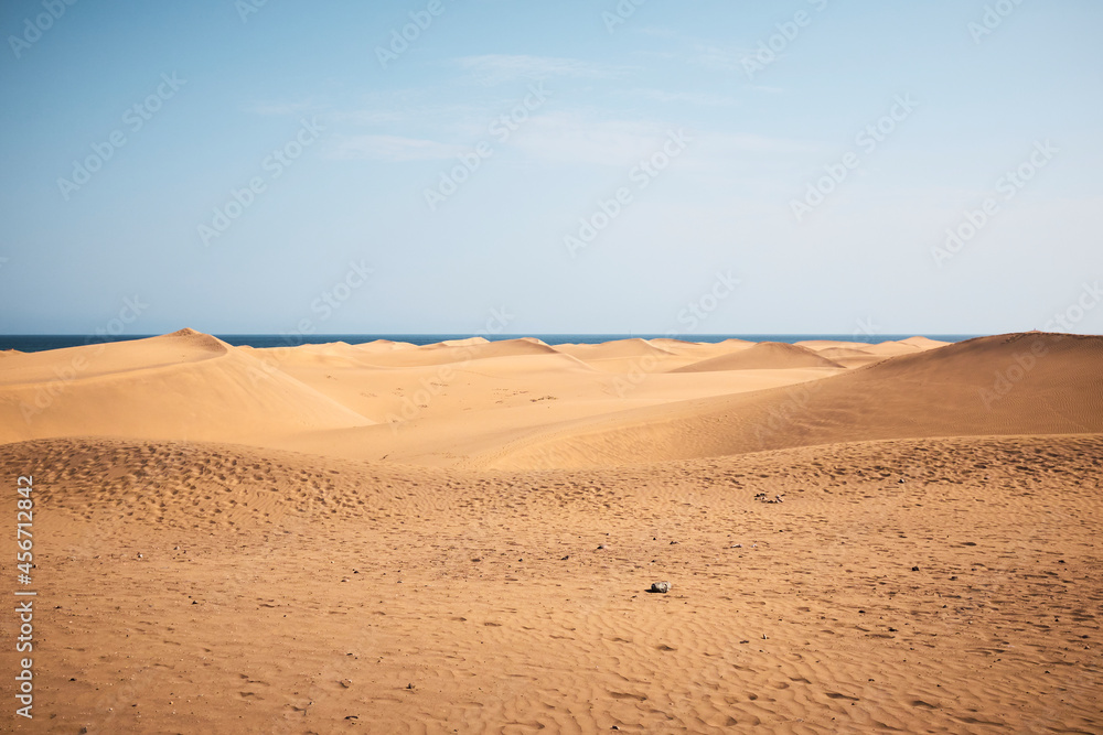 Canary dunes desert landscape