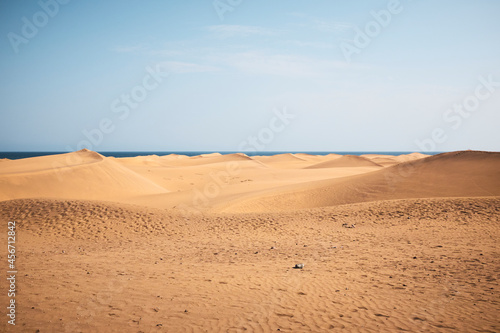 Canary dunes desert landscape