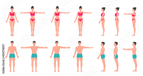 Young adult human body anatomy. People full-length figures, a man and a woman. Standing silhouette. A vector cartoon illustration.