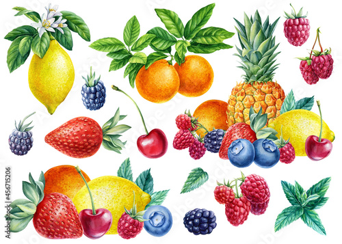 Fototapeta Naklejka Na Ścianę i Meble -  Sweet fruits and berries. Watercolor lemon, tangerine, pineapple, raspberry, cherry, blackberry and strawberry and mint