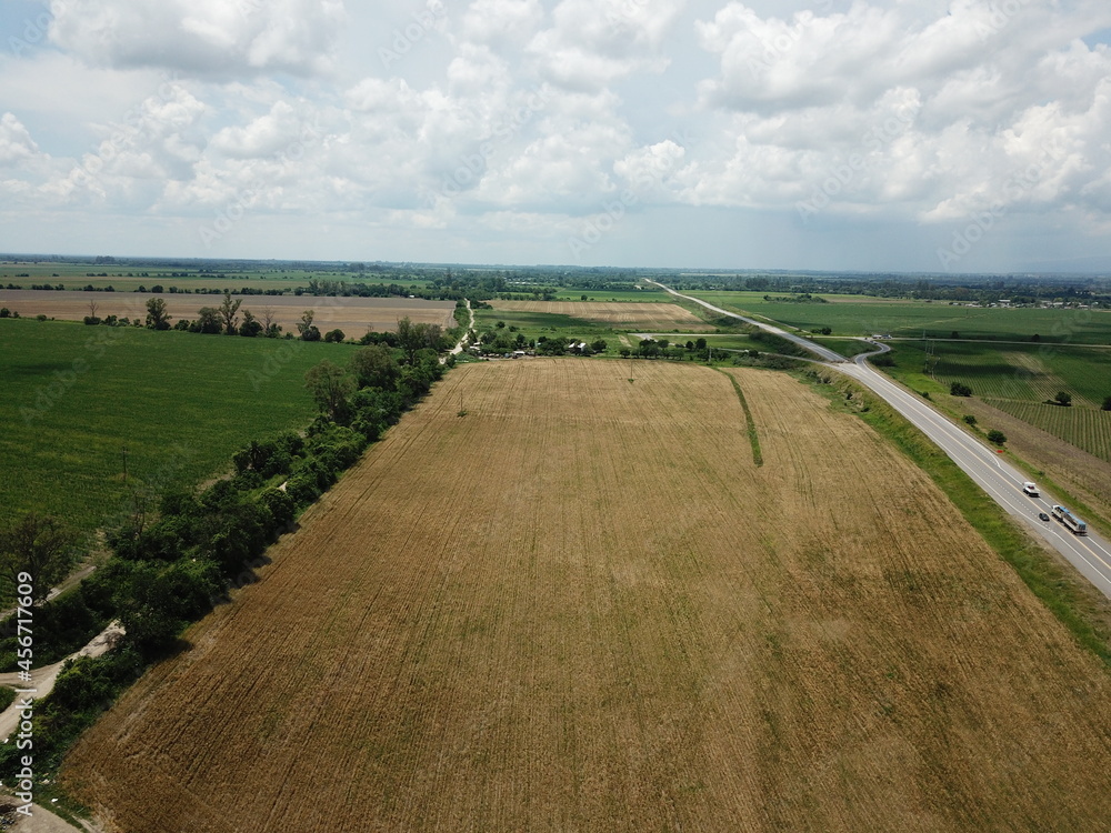 Wheat plantation shooted with drone