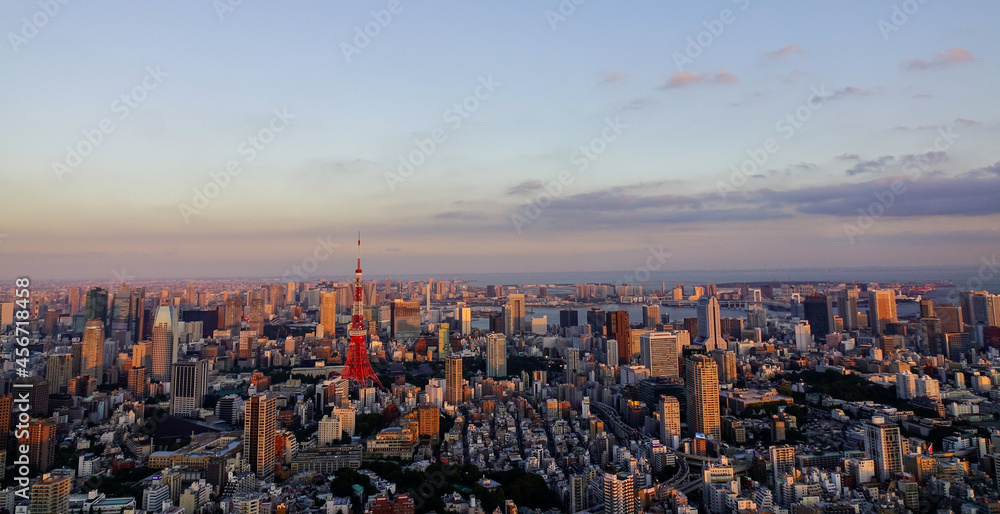 Fototapeta premium Ariel view of Tokyo cityscape in sunset