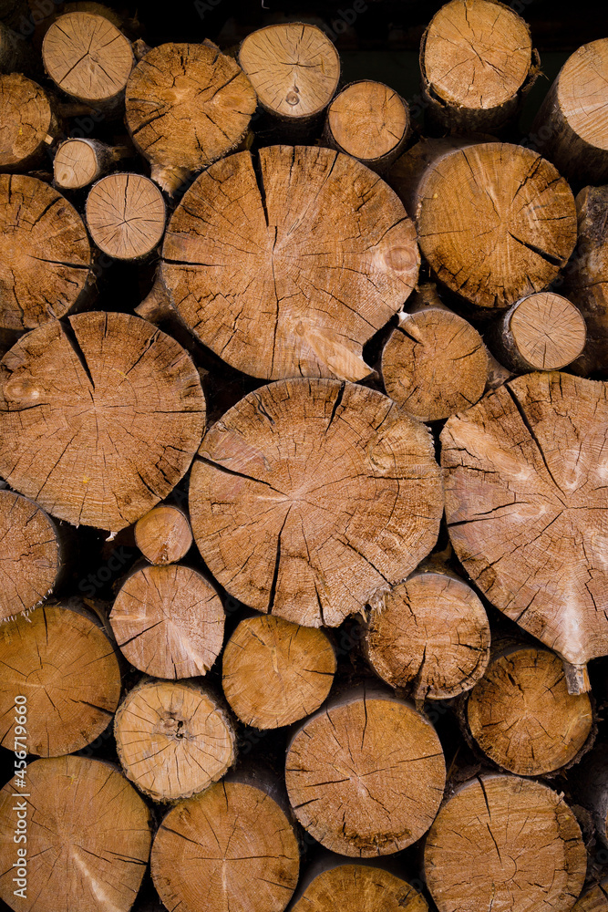 Cross section of the timber, cut trees, firewood stack for the background. Close up pile of logs background. Cross section of the timber, cut trees, firewood stack for the background. Close up pile of logs background.
