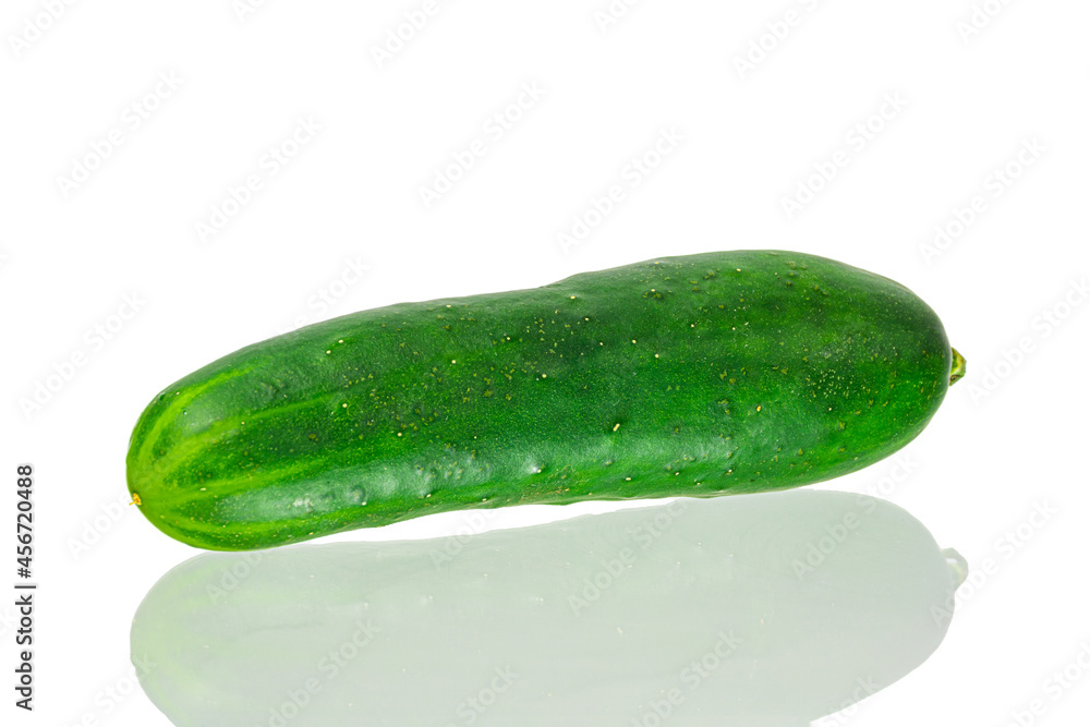 Pimiento fresco, fondo blanco. Pimiento fresco, fondo blanco.