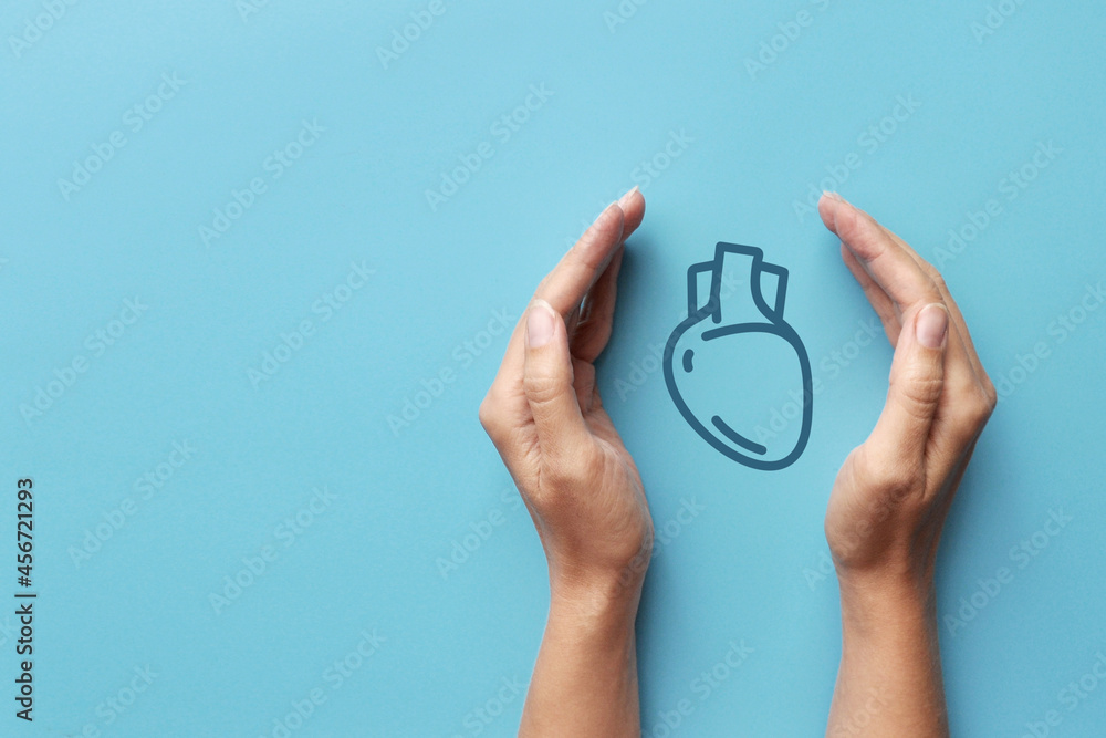 Fototapeta premium Drawing of a heart in the hands of a person. A symbol of protection and prevention from heart diseases