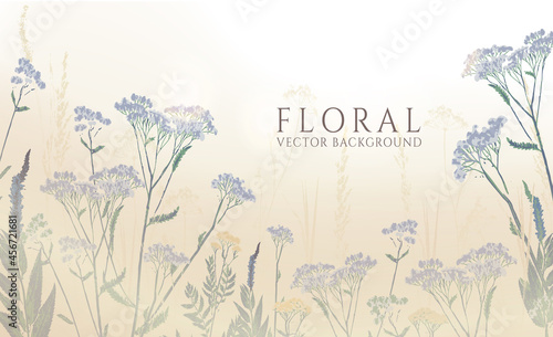  hand drawn vector illustration of evening landscape with wild grass