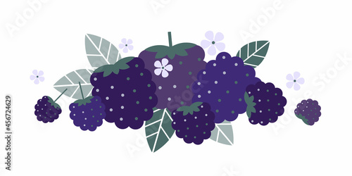Dewberry fruits. Flat illustration. Ripe berries, leaves and flowers. Illustration can use for jam, marmalade berry drink, berry filler, for label, packaging design, adv products and posters.