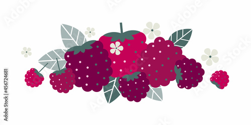 
Raspberry fruits. Flat illustration. Ripe berries, leaves and flowers. Illustration can use for jam, marmalade berry drink, berry filler, for label, packaging design, adv products and posters.
