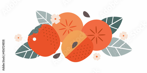 Persimmon fruits. Flat illustration. Whole and cut fruits, leaves, persimmon pits and flowers. Illustration can use for jam, marmalade fruit drink, fruit filler, for label, packaging design, adv prod