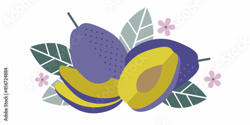 Plum fruits. Flat illustration. Whole and cut fruits, leaves, plum pits and flowers. Illustration can use for jam or marmalade, for label, packaging design, adv products and posters