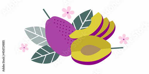 Plum fruits. Flat illustration. Whole and cut fruits, leaves, plum pits and flowers.

Illustration can use for jam, marmalade fruit drink, fruit filler, for label, packaging design, adv products.